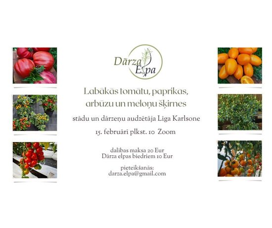 Dārza elpas tiešsaistes lekcija Zoom platformā- Līga Karlsone "Labākās tomātu, paprikas, arbūzu un meloņu šķirnes".
