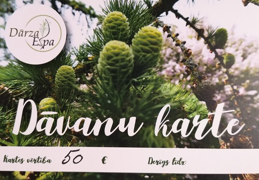 DĀVANU KARTE 50 EUR